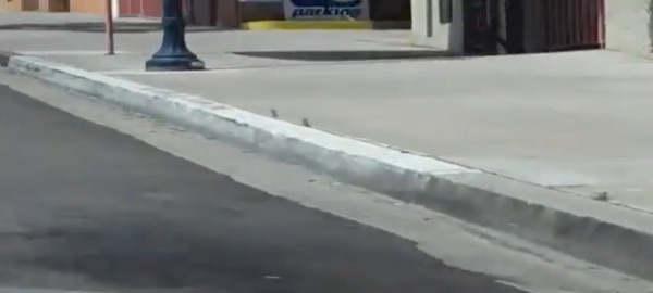 加州 DMV驾照笔试第243题相关图片